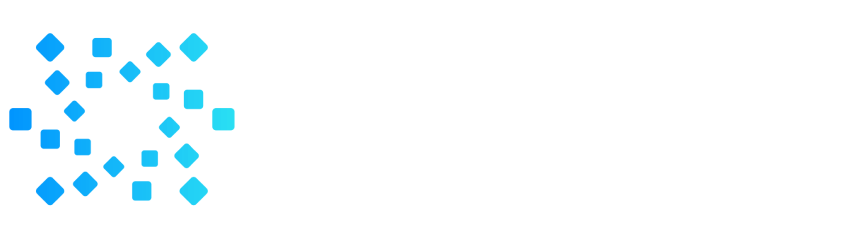 BlackFort Network